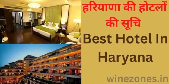 Best Hotel In Haryana