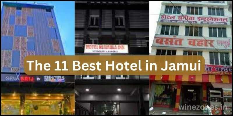 The 11 Best Hotel in Jamui 